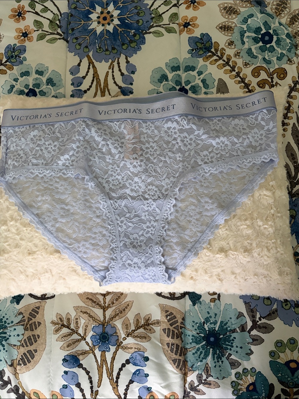 Victoria's Secret Pale Blue Lace Hipster